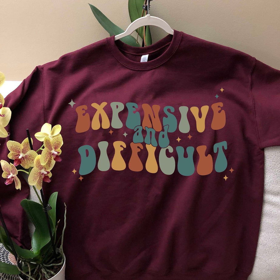 Expensive and Difficult Sweatshirt, Mothers Day Gift, Mom Life Shirt, Sarcastic Shirt, Wife Shirt, Womens Hoodie, Funny Mom Shirt